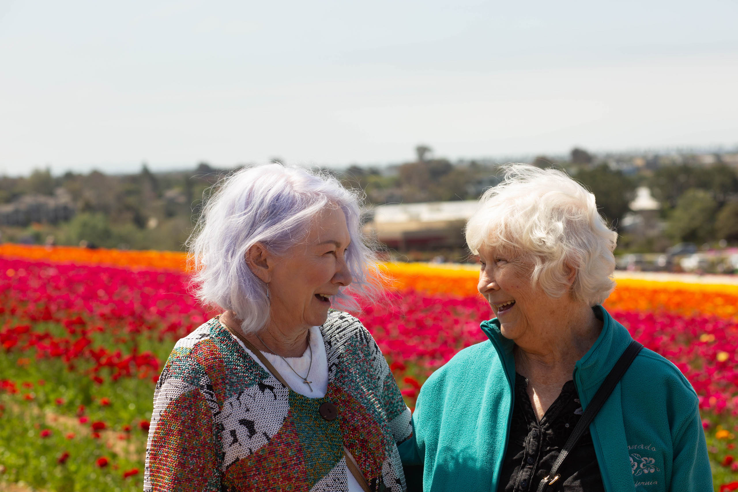 Fun Activities for Seniors in San Diego this Summer